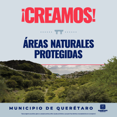 400x400_webs-creamos